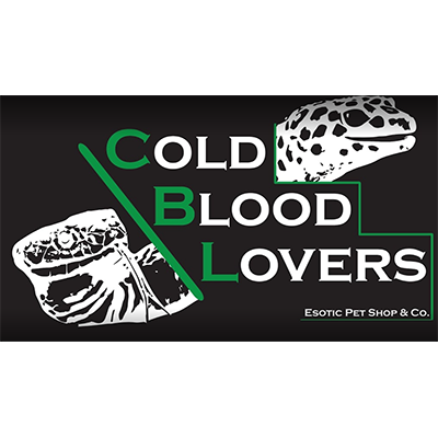 Logo di COLDBLOOD LOVERS