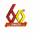 Logo di GNUDI AUTO SERVICE