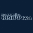 Logo di MECCANICA GROPPINA