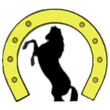 Logo di IL RANCH A.S.D.