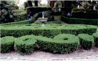 Logo di R & C GARDEN