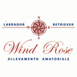 Logo di ALLEVAMENTI WINDROSE