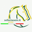 Logo di SELLERIA S.E.M