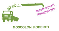 Logo di MOSCOLONI ROBERTO