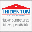 Logo di SCUOLA TRIDENTUM