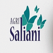 Logo di AGRI SALIANI