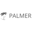 Logo di PALMER SCHOOL