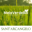 Logo di MELAVERDEBIO