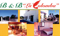 Logo di B&B LA COLOMBA