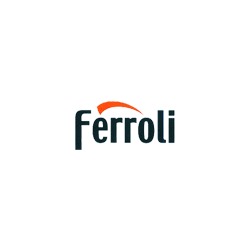 Logo di BICALOR FERROLI ASSISTENZA