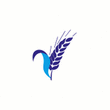 Logo di CENTRO NUTRIZIONE E BENESSERE