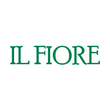 Logo di IL FIORE