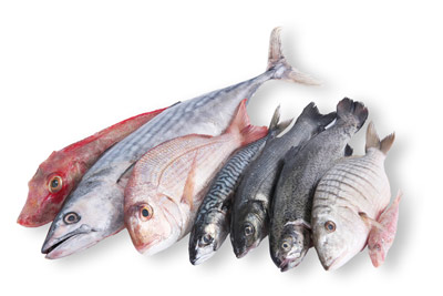 Pescheria Bottega Del Pesce Pescherie Grottammare Paginegialleit