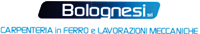 Logo di BOLOGNESI srl