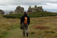 Logo di IL GALLO soc.coop.