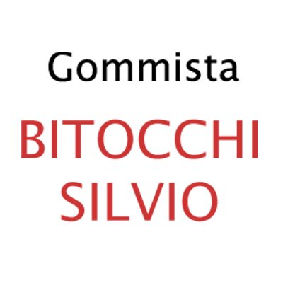 Logo di GOMMISTA BITOCCHI SILVIO
