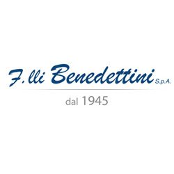 Logo di F.LLI BENEDETTINI SPA