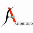 Logo di ANDRIOLO ARCH. GIANFRANCO E ANDRIOLO GEOM. GIOVANNI