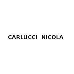 Logo di CARLUCCI NICOLA