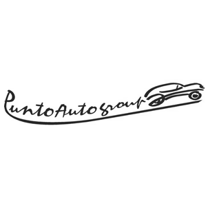 Logo di PUNTO AUTO GROUP