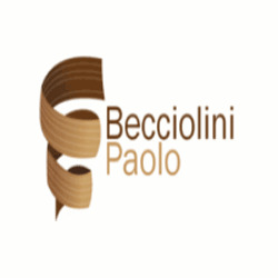 Logo di BECCIOLINI PAOLO RESTAURI