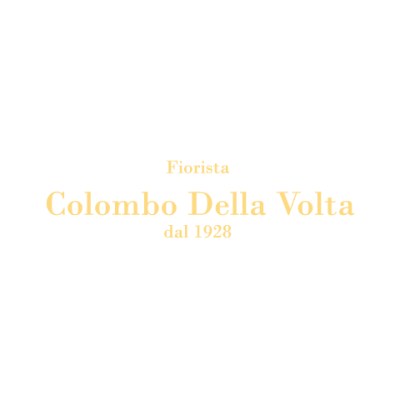 Logo di COLOMBO DELLA VOLTA
