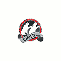 Logo di ORSI GROUP
