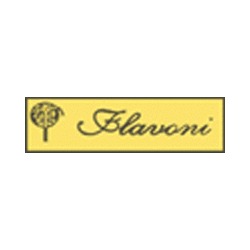 Logo di FLAVONI TENDE