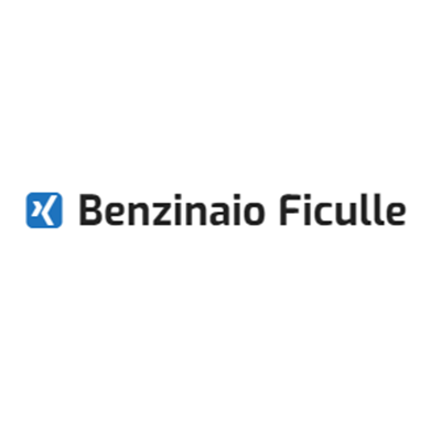 Logo di STAZIONE DI SERVIZIO IP DI PASQUALETTI MARCO