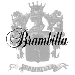 Logo di BRAMBILLA