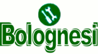 Logo di BOLOGNESI ROBERTO