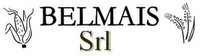 Logo di BELMAIS