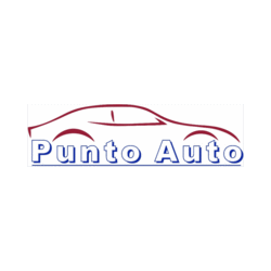 Logo di PUNTO AUTO
