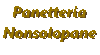 Logo di NONSOLOPANE