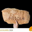 Logo di PANIFICI PISTOLA