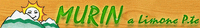 Logo di MURIN