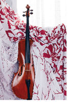 Logo di CARLO BERTOGLIO
