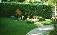 Logo di IDROVERDE 2000