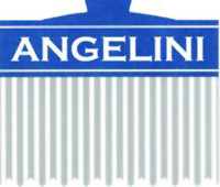 Logo di ANGELINI GIANCARLO