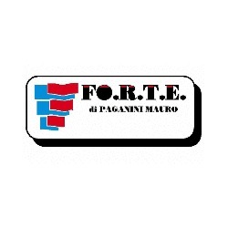 Logo di FO.R.T.E.