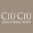 Logo di CIU' CIU' AZIENDA VITIVINICOLA
