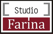 Logo di ANDREINA FARINA