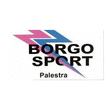 Logo di BORGO SPORT DI BANI LUIGI - GUERRA CRISTINA