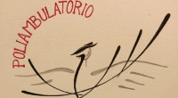 Logo di POLIAMBULATORIO LA FENICE