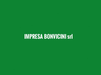 Logo di IMPRESA BONVICINI