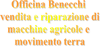 Logo di BENECCHI GIOVANNI E C.