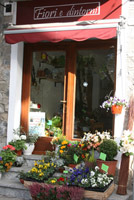 Logo di FIORI E DINTORNI