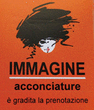 Logo di ACCONCIATURE IMMAGINE