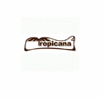 Logo di LA TROPICANA S.N.C. PASTICCERIA E CONFETTERIA