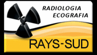 Logo di RAYS SUD